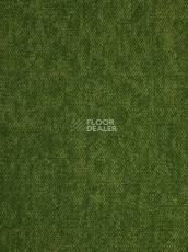 Haima Coral 30 фото 10 | FLOORDEALER